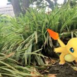 【ポケモンGO】再ログイン後の捕獲「ARで捕獲しますか→いいえ→ARモード発動します！」