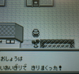 ポケモン世界「ジムの前に木植えて通れないようにしたろ」←は？