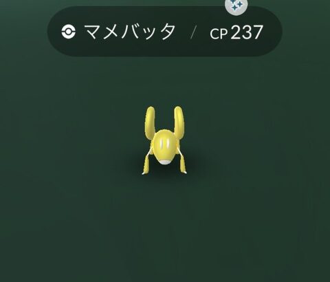 【ポケモンGO】予告なしサイレントで色違いが実装！マメバッタ！