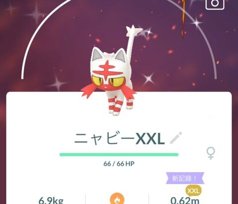 【ポケモンGO】「サイズXXL」が出る確率はどれくらい？ニャビーコミュデイ、何匹捕獲してその内XXLは何体だった？