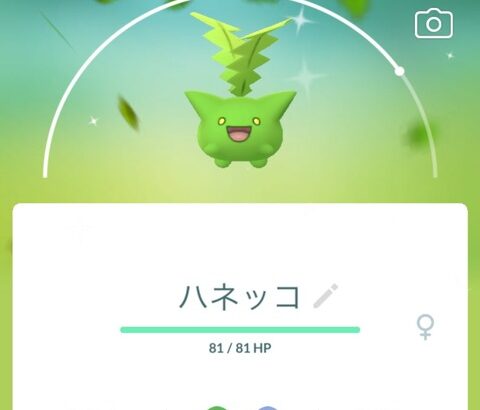 【ポケモンGO】急募、ハネッコ・ワタッコの使い道！