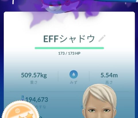 【ポケモンGO】「シャドウカイオーガ」「シャドウグラードン」どっちか2匹ゲットできるならどっち選ぶ？