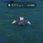 【ポケモンGO】モグリュー居なくてチャレンジ詰みそう勢