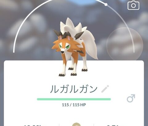 【ポケモンGO】「黄昏イワンコレイド」判別方法【2024年5月現在】