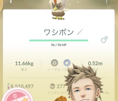 【ポケモンGO】ワシボンを本気で”ワシボシ”と思い込んでる奴