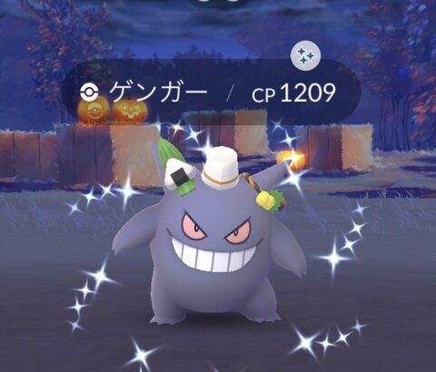 「このポケモン色違い！？すげえええ」←言う程凄いか？