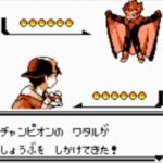 ポケモン金銀のワタルの手持ちってロマン溢れすぎてたよな