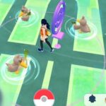 【ポケモンGO】「田舎ジム」にポケモン置いた時にありがちな事