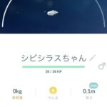 【ポケモンGO】最小おひろめされた場合「xxs0キロ」の扱いはどうなるの