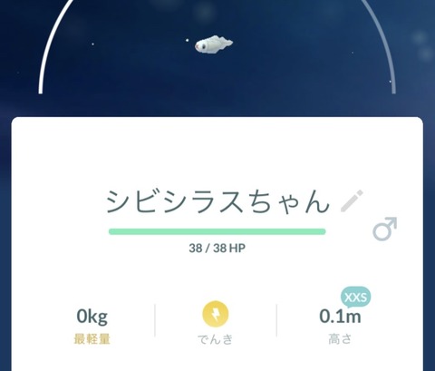 【ポケモンGO】最小おひろめされた場合「xxs0キロ」の扱いはどうなるの