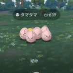 ポケモンでタマタマってつけた奴、絶対酔った勢いで名前付けたろ