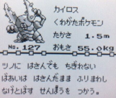 ポケモン世界の戦争も悠長にトレーナーバトルしてるの？