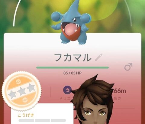 【ポケモンGO】「普通の野生でも色違いは逃げない」←逃げてる場面を何故か思い出せない人達