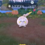 【ポケモンGO】スポアワ、トゲデマルアワー反省会！「捕獲率低め」「」