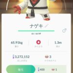 ポケモンの地球投げって何やってんの？