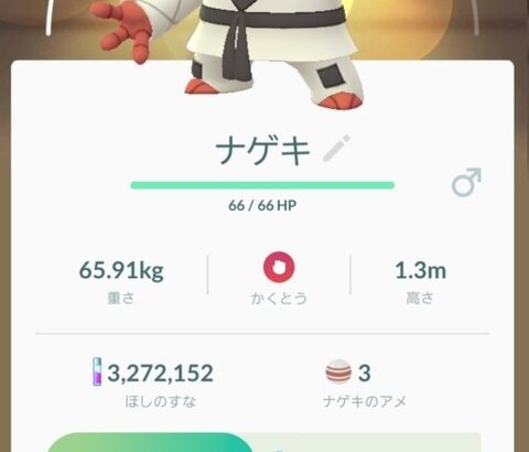 ポケモンの地球投げって何やってんの？