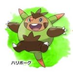 ポケモンで中間進化が一番人気ってパターンある？