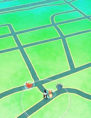 【ポケモンGO】ワイ田舎ジムに置いたら帰ってこなくて詰む