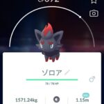 【ポケモンGO】相棒に化けたゾロアに騙されてマスボ投げる奴