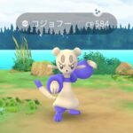 【ポケモンGO】色違いコジョフー！色違いシュノーケルピカチュウ！色違い率は高め？