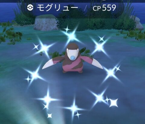 【ポケモンGO】FFFドリュウズを求めて