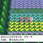 ポケモンBDSPの早期特典「メンバーズカード」これ常時配布にしてくれ…