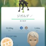 【ポケモンGO】今までなにやってたんだおじさん「俺は1年でジガルデセルを500個集めた」