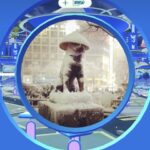 【ポケモンGO】ポケスト申請「位置修正審査」審査だけならBAN対象に成り得ない？