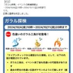 【ポケモンGO】イベント「ガラル探検」の目玉「色違いのガラル三鳥」色違いが出た場合は逃走しない模様