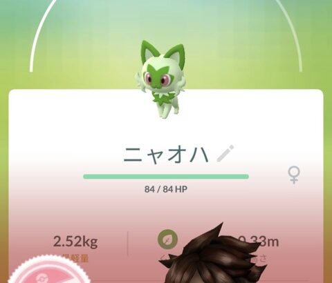 【ポケモンGO】ポケモン拘り勢「オスメス・産地・ボール・個体値」←どこまで理解できる？