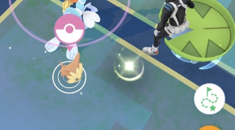 【ポケモンGO】「ジガルデセル」を集め出して分かった事…これガチでキツイ