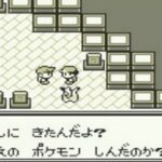 初めてポケモンで殿堂入りした時に手持ちに入れてたポケモン当てる