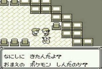 初めてポケモンで殿堂入りした時に手持ちに入れてたポケモン当てる