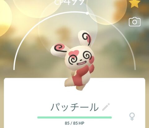 【ポケモンSV】「パッチール」とかいう模様の仕様で呪われた存在になったポケモン