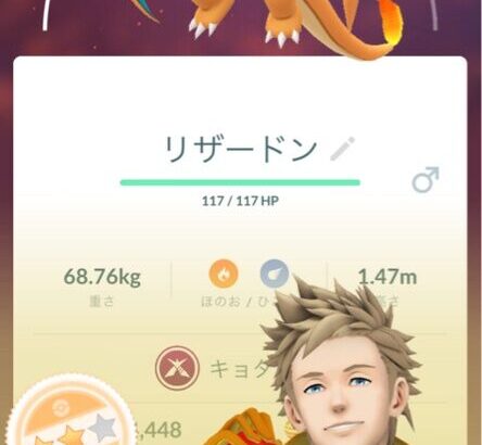 【ポケモンGO】キョダイマックスって大都会か人が超集中する極地しか成り立たなくない？