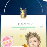 【ポケモンGO】2024ハロウィンpart１は何を狙うべき？モルペコ？ミカルゲ？