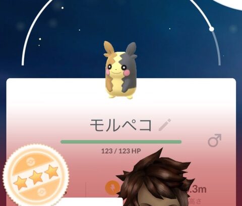 【ポケモンGO】モルペコ、対ロケット団戦でやばい