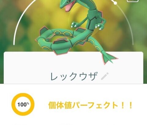 【ポケモンGO】「伝説ポケモン100％個体」に逃げられた事ある奴集合！