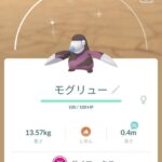 【ポケモンGO】根本的なXL飴の獲得量増やさないとキョダイマックスに未強化ウールー地獄は止まらない？