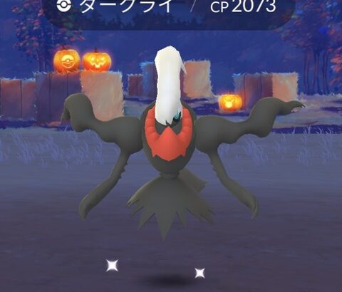 【ポケモンGO】ゲッチャレ時の「横移動」する奴がクッソ嫌いなんだが！？！？！