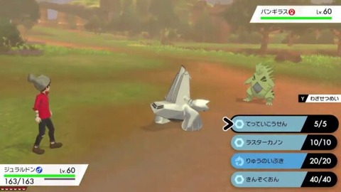 ポケモンバトルって冷静に考えるとヤバくない？