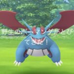 【ポケモンGO】ポケGOの「ボーマンダ」影が薄すぎる