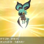 【ポケモンSV】「孵化余り」を渡す文化が消滅したの悲しいよな