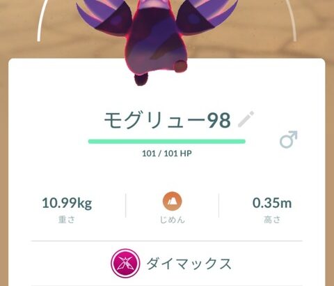 【ポケモンGO】ニックネームに「○○％」って書いてる奴絶対頭悪いよな。わざわざ名前変えたのに一目で正確な数値判らないとか