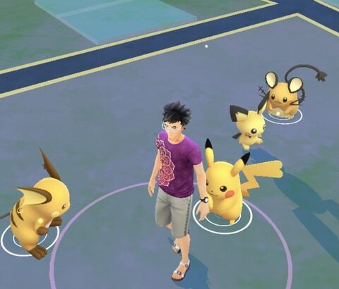 【ポケモンGO】ポケモンがフィールド出現した時点でオスメス判断可能？