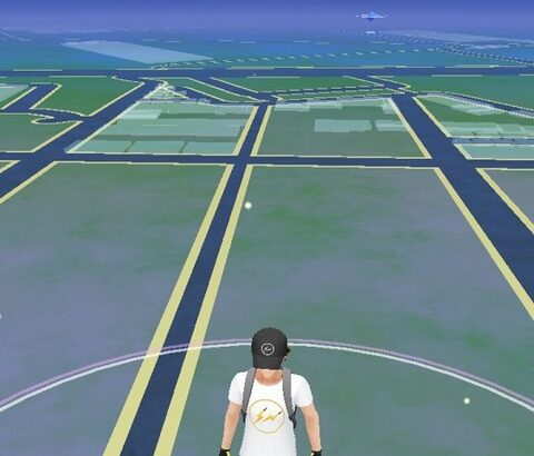 ポケモンGOの為に毎日深夜徘徊してるけど質問ある？