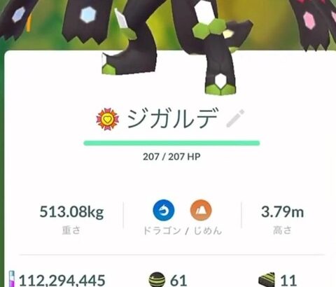 【ポケモンGO】ジガルデ（完全体）ルート面倒くさくて完成する気配が無い…