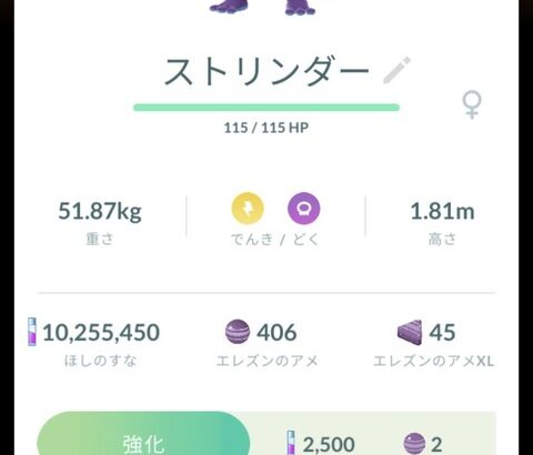 【ポケモンGO】ワイルドエリアグローバルのレイド、朝6時から開始