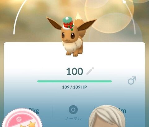 【ポケモンGO】今年ホリデー「ホリデーイーブイ」は何故湧かなかったのか