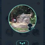 【ポケモンGO】格安回線と契約してプレイするデメリット